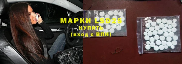 крисы Алзамай