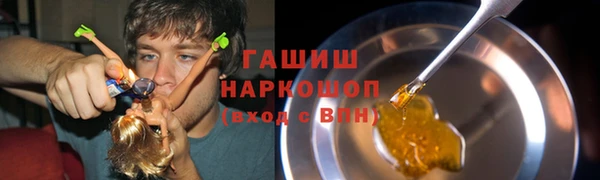 крисы Алзамай