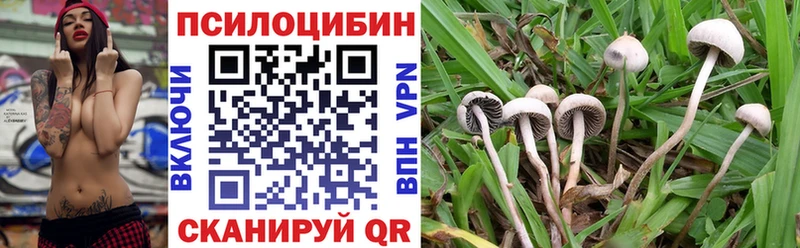 где купить наркоту  Арск  Псилоцибиновые грибы MAGIC MUSHROOMS 